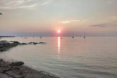 Ferienwohnung Murin Delfin Umag Exterior foto